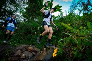 BIB: 1324, 196
                            <button type="button" onclick="openModal(15974579)" class="btn btn-primary btn-sm float-right btn-popup" data-toggle="modal" data-target=".modal-high-quality">
                        <i class="fas fa-shopping-cart"></i> Add to Cart
                    </button>
                                            <button type="button" onclick="isThisMe(15974579, true)" class="btn btn-success btn-sm float-right btn-popup btn-isme hidden" data-toggle="tooltip" data-placement="bottom" title="นี่คือรูปของคุณใช่ไหม คลิกที่นี่เพื่อเอาเข้าอัลบั้ม">
                        <i class="fas fa-plus"></i> Add to album
                    </button>
                    <button type="button" onclick="isThisMe(15974579, false)" class="btn btn-warning btn-sm float-right btn-popup btn-isnotme hidden">
                        <i class="fas fa-ban"></i> Remove from album
                    </button>